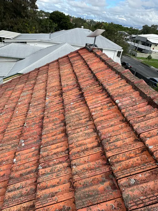 Moss and trapped moisture on aged roof tiles, flagged as a damp and mould risk.