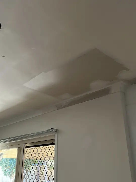 Water-stained ceiling: moisture source traced and mould risk assessed.