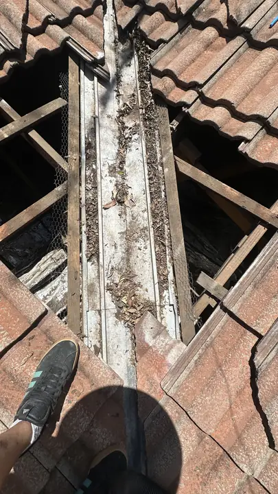 Opened roof valley during a leak and water damage inspection.